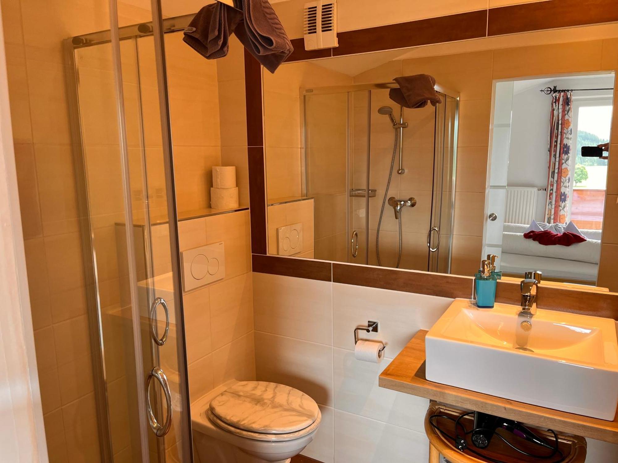 Montanara Apartment & Zimmer Ramsau am Dachstein Ngoại thất bức ảnh